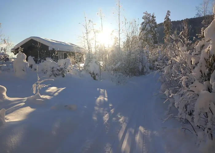 Chalet Kroderen Laftet Tommerstue Fra 2021 *